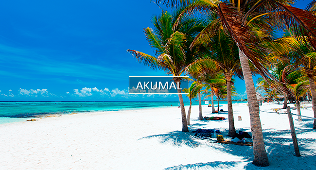 AKUMAL