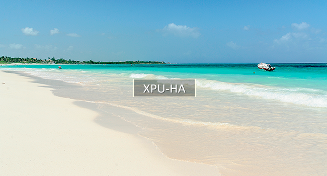 XPU-HA